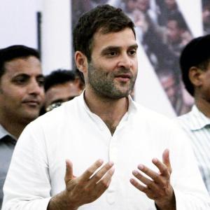 Will Rahul Gandhi lose in Amethi?