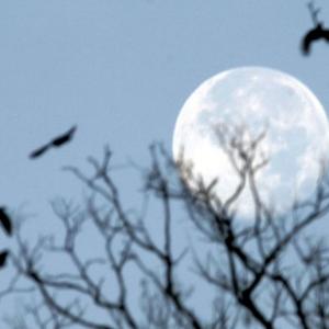 In a first since 1977, rare full moon to light up Christmas Day