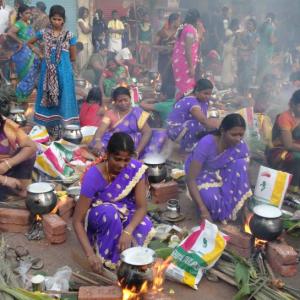 How Dharavi transformed into mini Tamil Nadu on Pongal