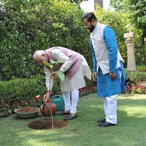 On environment day, PM Modi shows the way it's done