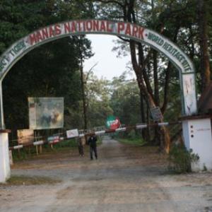 This Assam national park now a sanctuary for Bodo militants