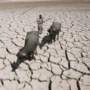 Dry as hell! 105 farmers commit suicide in a month in Marathwada