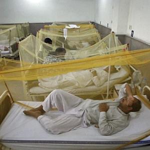 Delhi dengue toll rises, govt to crack whip on hospitals that refuse patients