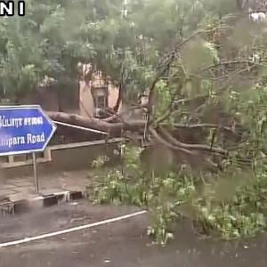 Trees uprooted, flights cancelled: Cyclone Vardah makes landfall