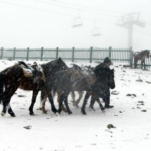 PHOTOS: First snow of season covers Gulmarg