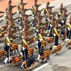 Army dog squad makes a comeback after 26 years@R-Day parade