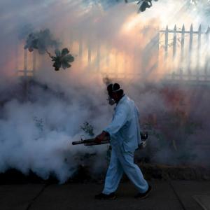 Over 1000 cases of chikungunya in Delhi, death toll climbs to 5