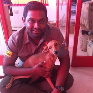 Dog flung off terrace found alive in Chennai; accused get bail