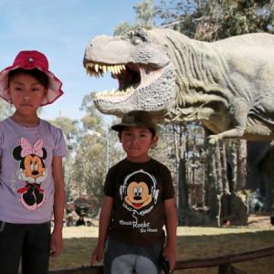 PHOTOS: Following in a dinosaur`s footsteps