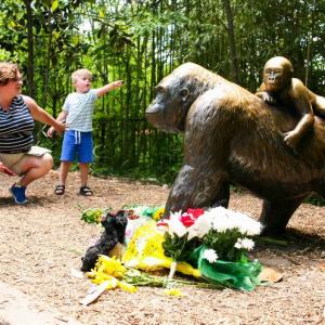 Did Harambe have to die?