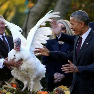 Obama pardons his last turkey... and has a pun-fest