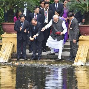 Modi in Vietnam: From feeding fish to praying at Pagoda