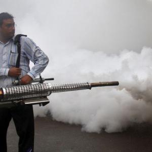 All you need to know about Dengue and Chikungunya