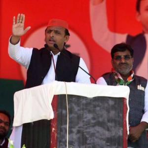 Don't campaign for the donkeys of Gujarat: Akhilesh to Amitabh