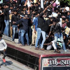 Thousands join pro-Jallikattu protests; HC refuses to intervene
