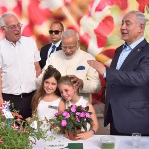 At Israeli flower farm, 'Modi' the chrysanthemum blooms