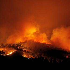 PHOTOS: Massive Portugal forest fire kills 57, injures 59 others