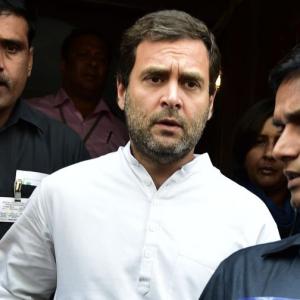 Need structural changes in party: Rahul