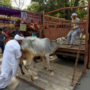 'Forcible vegetarianism will do no good': States may move court against ban