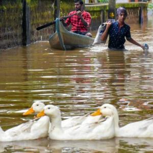 Kerala reels under floods as 29 die, 54,000 are homeless
