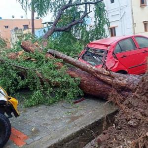 13 dead, over 81,000 evacuated as Cyclone Gaja batters Tamil Nadu