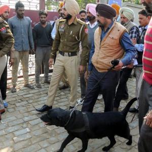 3 killed in grenade attack in Amritsar, cops say 'terrorist act'