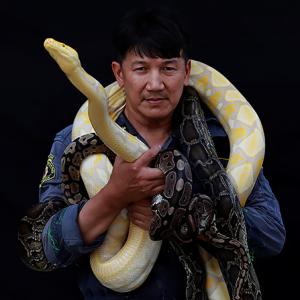 The firefighter who catches snakes with his bare hands