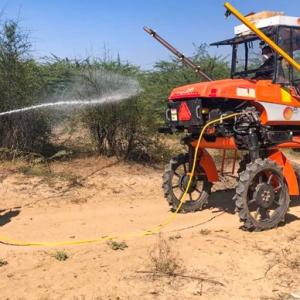 Gujarat battles worst locust attack