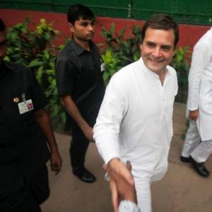 For Rahul, this election was win some, lose lots