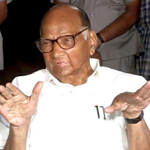 Mandate to sit in Oppn but...: Pawar after meeting Sonia