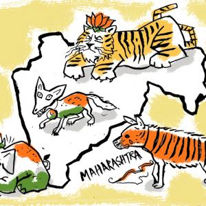Maharashtra's Jungle Book