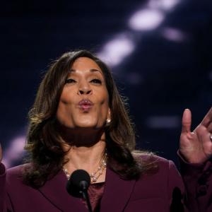 It doesn't matter that Kamala Harris is half-Indian