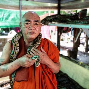 This monk offers shelter to snakes in monastery