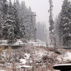Postcards from a snow-capped Kashmir