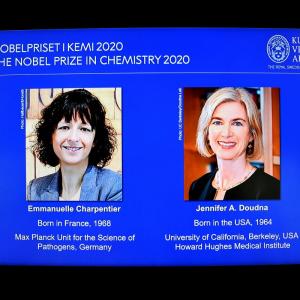 Scientists win Nobel chemistry for 'genetic scissors'