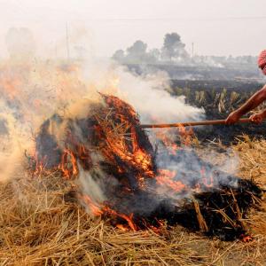 18% of Delhi's air pollution due to stubble burning