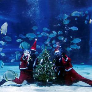 What is Santa Doing Under Water?