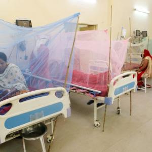 Dengue outbreak: Central teams rushed to 9 states, UTs