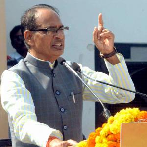 Cow dung, urine can strengthen economy: MP CM