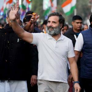 Rahul to contest 2024 LS poll from Amethi: Cong leader