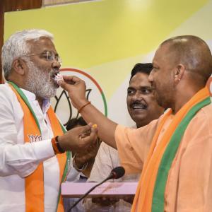 Bypolls: Major BJP win in UP; AAP loses in Punjab