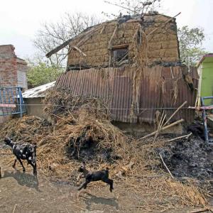 Silence Of Death In Bogtui Village