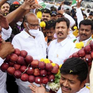 Why Pawar Is Against The BK 16's Arrest