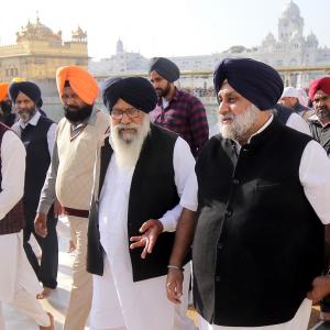 In search for revival Akalis go back to Sikh roots