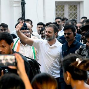 Hero's welcome for Rahul, says truth always wins