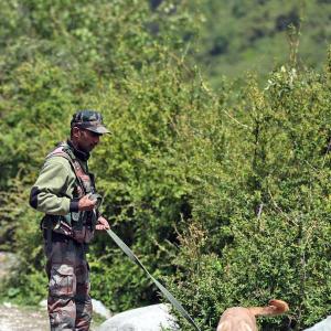 'Op Trinetra' underway in J-K to flush out terrorists
