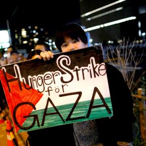 Pro-Gaza Protests In Tokyo, Dublin...