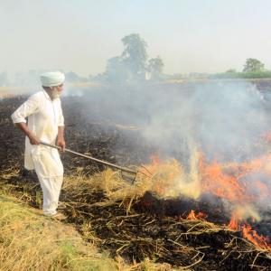 Punjab's Water Woes And Stubble Burning