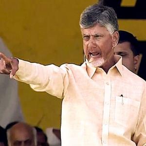 Quality booze at low prices: TDP's poll promise