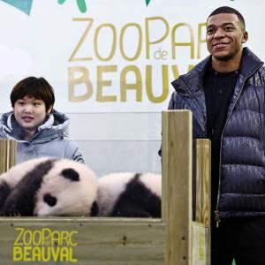 PIX: Mbappe becomes godfather to panda cub
